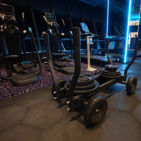 functional training